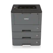 Brother HL-L5100DNTT abschließbar Laserdrucker Schwarz-Weiss